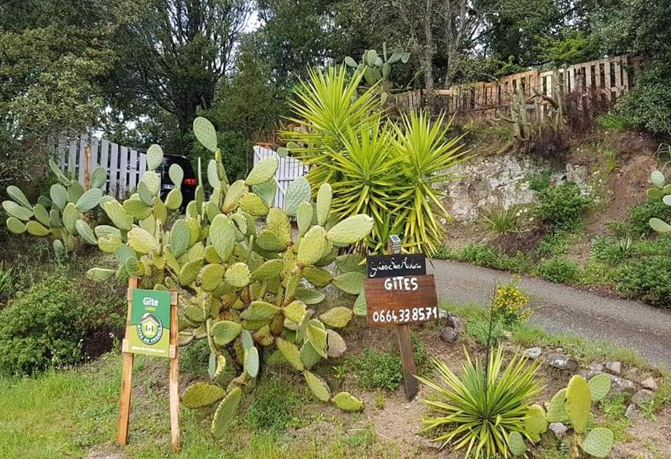 Gites San Austinu Petreto-Bicchisano Exterior foto